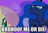 Bronyspeak