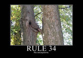 Rule 34