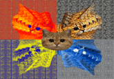 Cats