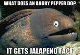 Bad Joke Eel