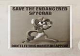 Spy Crab