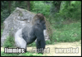 That Really Rustled My Jimmies