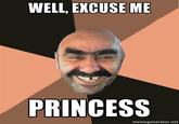 Well Excuse Me, Princess!