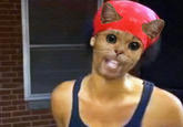 Starecat / Grafics Cat