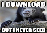 Confession Bear