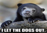 Confession Bear