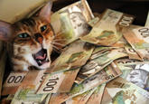 CashCats