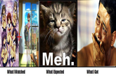 What I Watched / What I Expected / What I Got