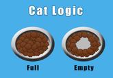 Women Logic