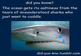 Did You Know?