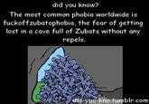 Did You Know?