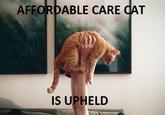 U.S. Healthcare Reform / Obamacare