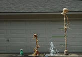 Diet Coke and Mentos