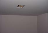 Ceiling Cat