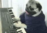 Keyboard Cat