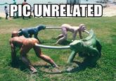 Picture Unrelated