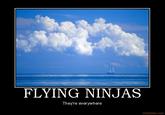 Ninjas