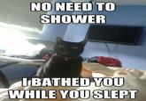 Image Macros