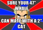 Professor Oak