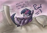 POMF =3