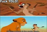 YOLO