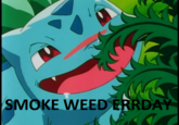 Smoke Weed Everyday