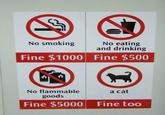 A Cat Is Fine Too