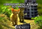 LOLcats
