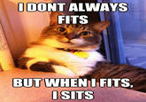 If It Fits I Sits