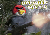 Angry Birds