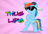 I Didn't Choose The Thug Life, The Thug Life Chose Me