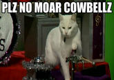 Needs More Cowbell