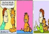 Garfield Parodies