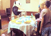 Never Say No to Panda