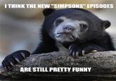 Confession Bear