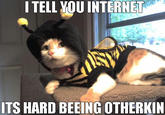 Otherkin