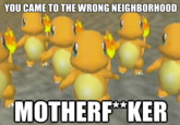 You Came to the Wrong Neighborhood