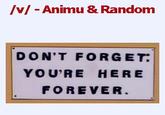 /v/