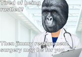 That Really Rustled My Jimmies