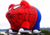 Spider-Pig / Harry Plopper