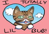 Lil Bub