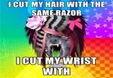 Scene Wolf