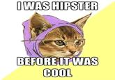 Hipster Kitty