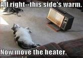 LOLcats