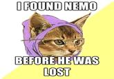 Hipster Kitty