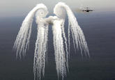 The Flying Spaghetti Monster