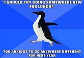 Socially Awkward Penguin