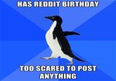 Socially Awkward Penguin