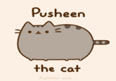 Pusheen