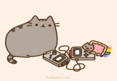 Pusheen